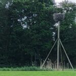 Bij Roderwolde.